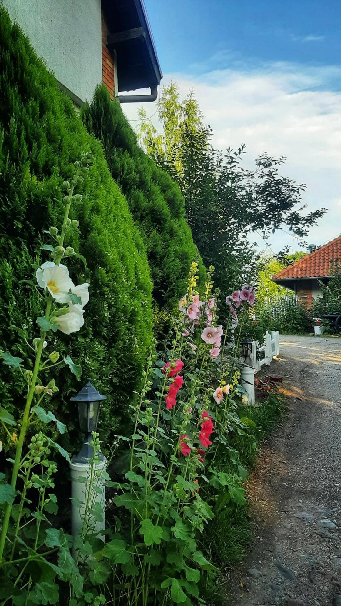 MikołajkiStraznica Komturaアパートメント エクステリア 写真